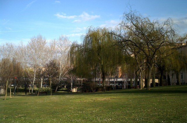 Parque del Ebro