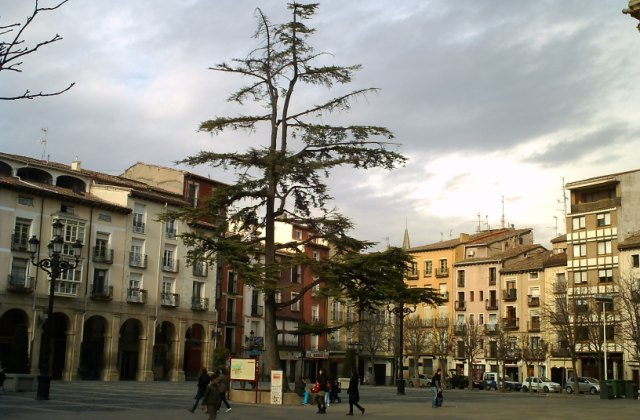 Plaza del Mercado
